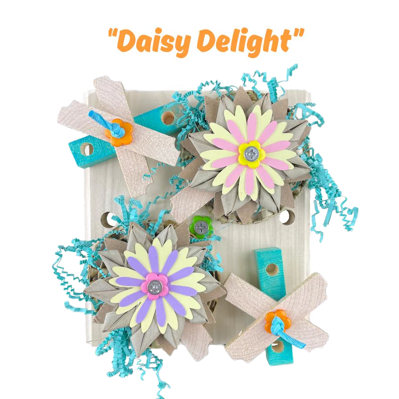 Daisy Delight Cage Mount by Pirate's Beak