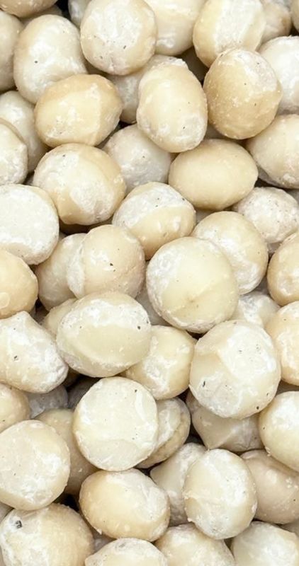 1 Lb Shelled Whole Raw Macadamia Nuts from Argires Snacks