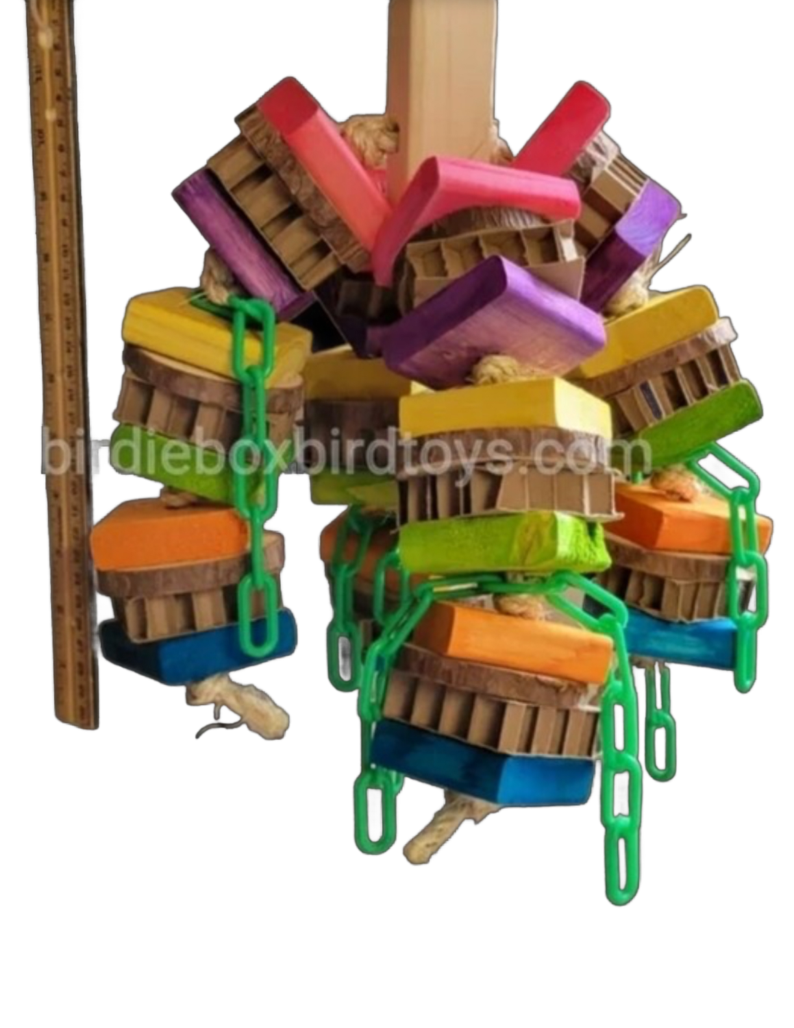 The Imitator by Birdie Box Bird Toys