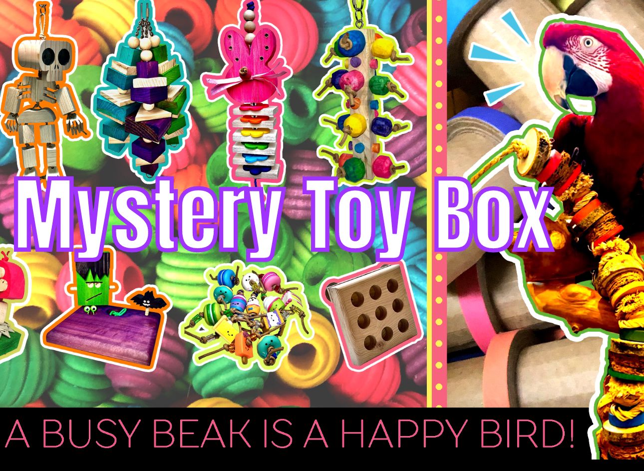 Mystery Toy Box -- Buy 1 Time or Sign Up for a Quarterly Subscription