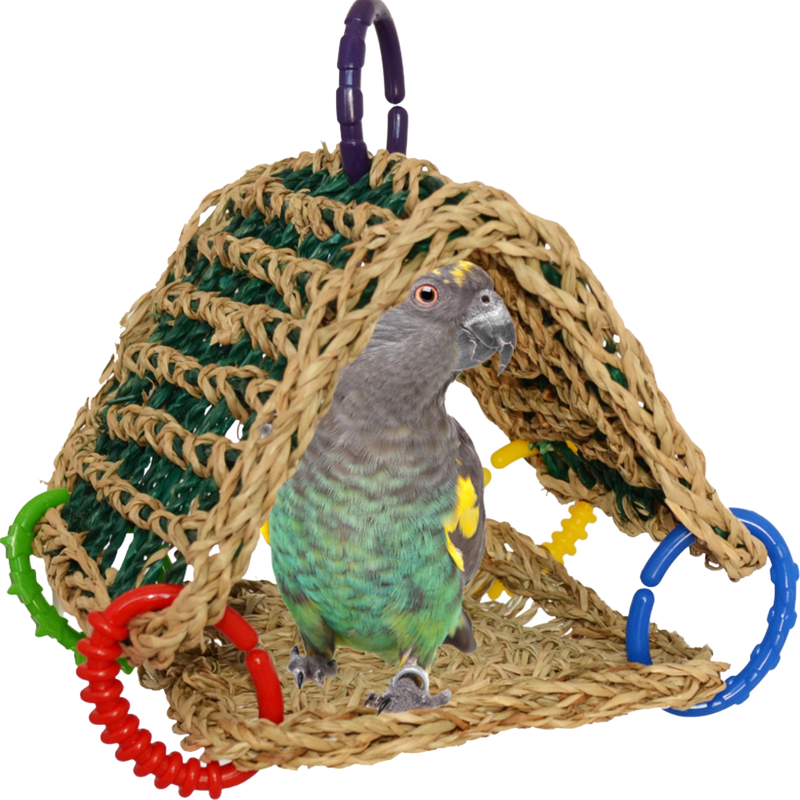 Seagrass Tent by Super Bird Creations