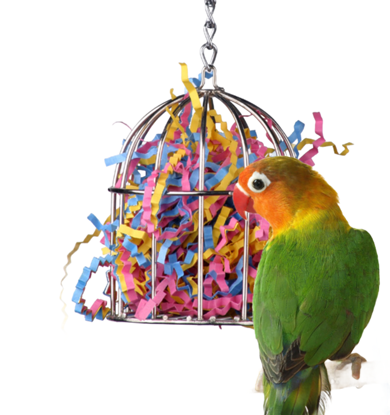 Mini Stainless Steel Baffle Cage by Super Bird Creations