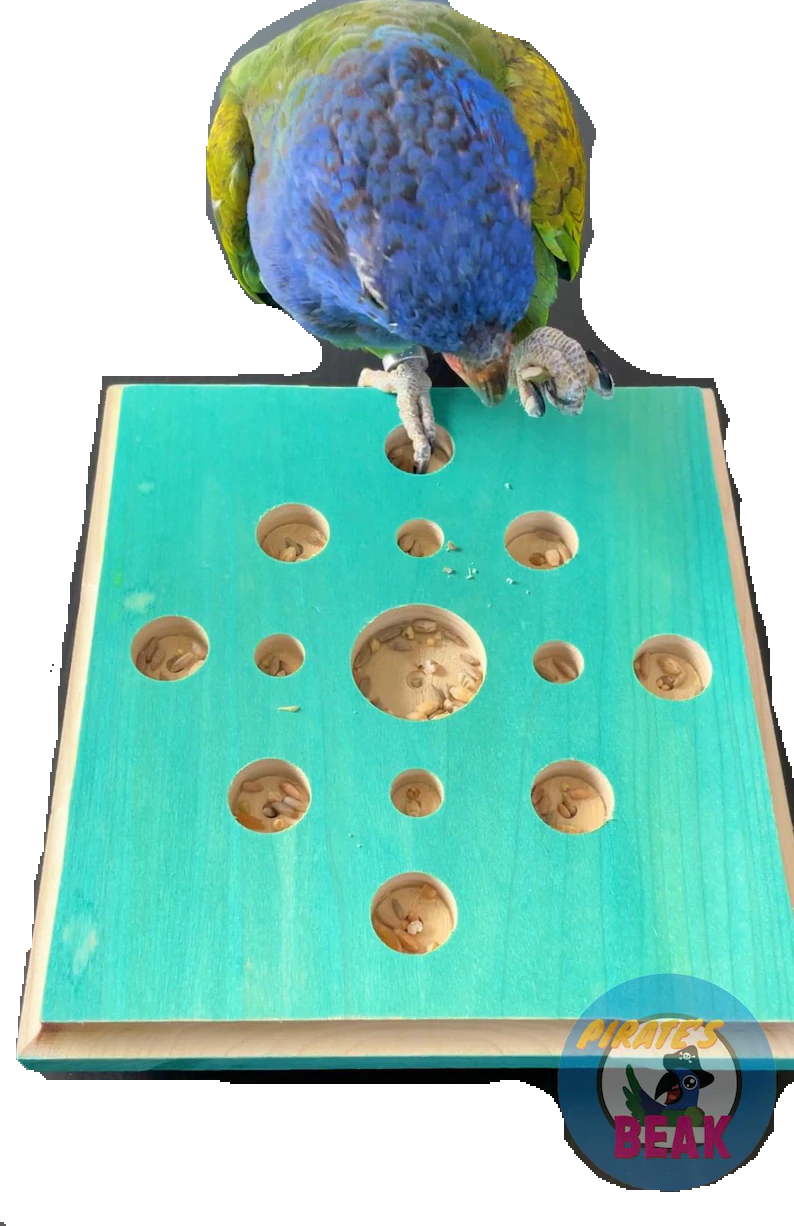 Table Top Play Station by Pirate's Beak