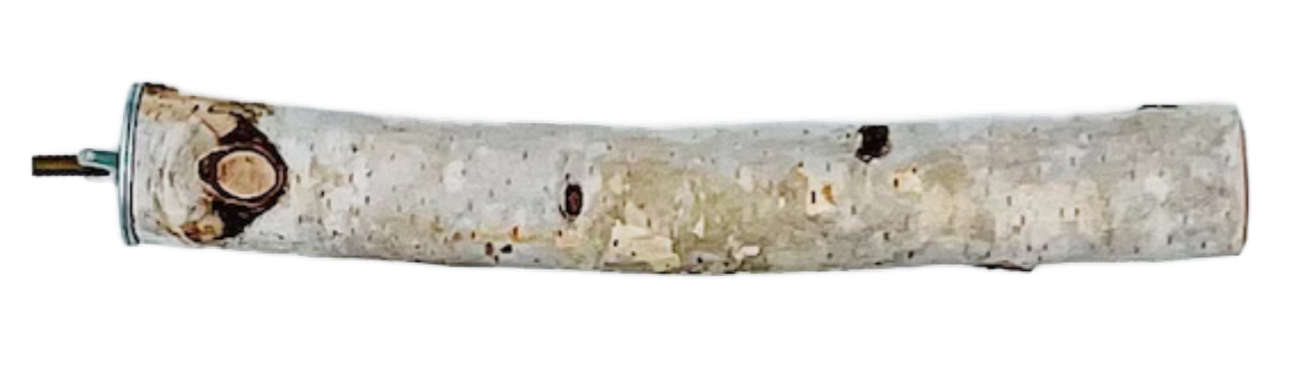 Large Natural Birch Wood Perch 2" diameter by The Modern Parrot