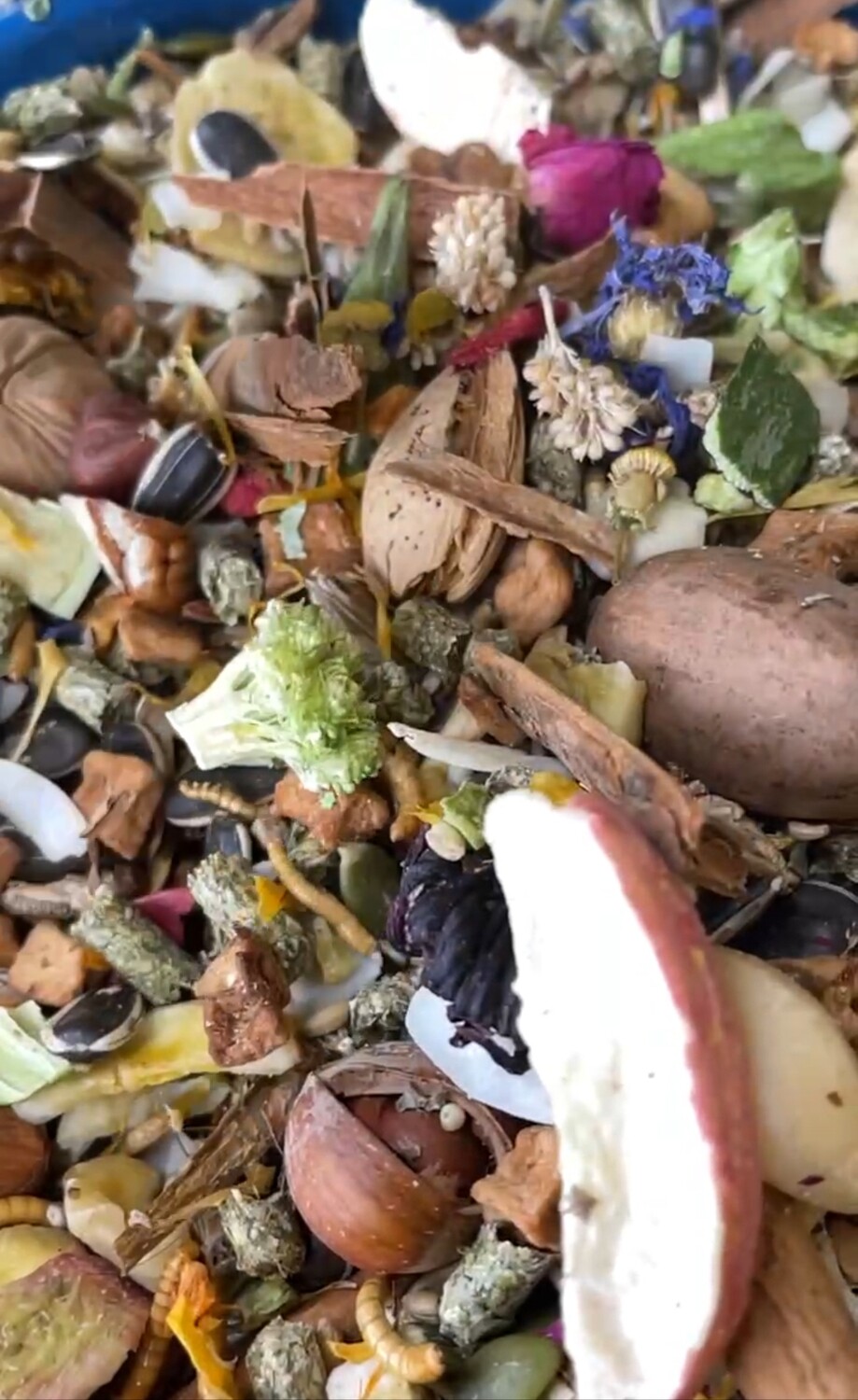 Best Bird Food Dry Mix Combo Box for Small and Medium Birds, our Signature Dry Mix -- Use this to Subscribe every 3 Months