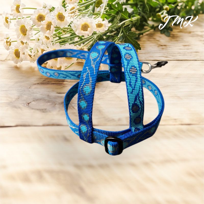 JMK Harness and Leash - Squigly Blue Print, Size Large: 600-1100 grams: Lg Macaws, Triton, Sm. Moluccan, Black Palm, etc