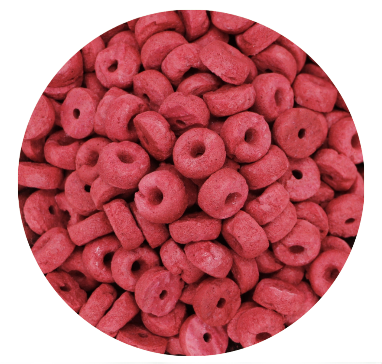 Beet Foodieos™ Freeze Dried Beets by myParrotopia®