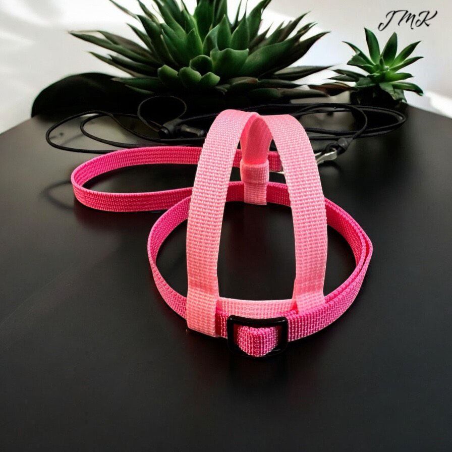 JMK Harness and Leash - Light Pink with Darker Pink, Size Extra Extra Small: 90-110 grams: Cockatiels, Lg. Parakeets, Sm. Indian Rednecks, Sm. Conures (Green Cheek, Brown Throat)