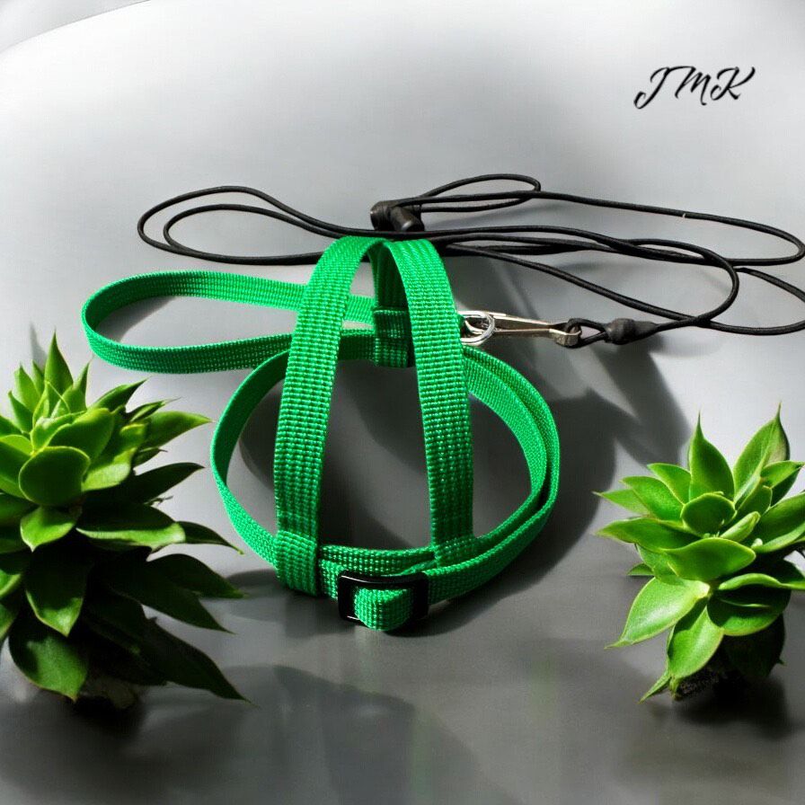 JMK Harness and Leash - Dark Green, Size Extra Extra Small: 90-110 grams: Cockatiels, Lg. Parakeets, Sm. Indian Rednecks, Sm. Conures (Green Cheek, Brown Throat)