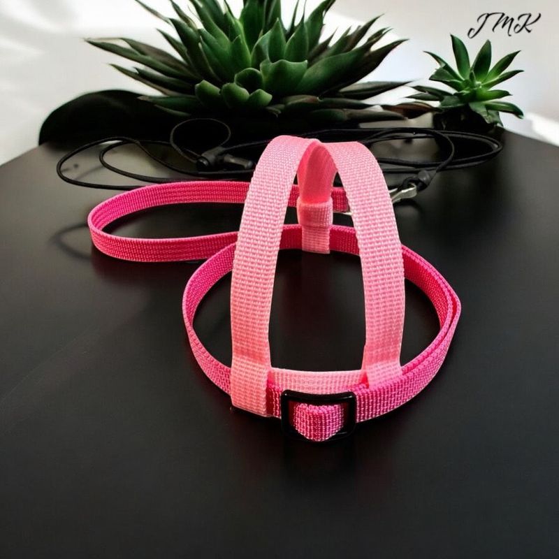 JMK Harness and Leash - Light Pink with Darker Pink, Size Extra Small: 110-190 grams: Quakers, Senegal’s, Sun Conures