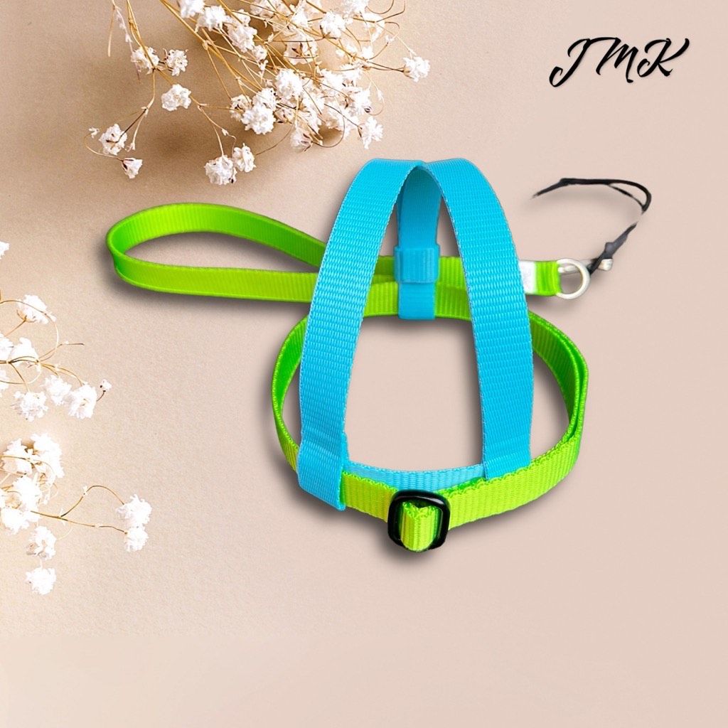 JMK Harness and Leash - Color Light Blue &amp; Bright Green, Size Medium: 425-600 grams: Eclectus, Med. Macaws (Severee, Red Fronted), Lg Amazons (Double Yellow, Yellow Nape), Umbrella, Congo Grey