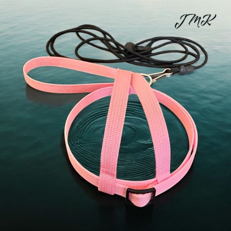 JMK Harness and Leash - Light Pink, Size Extra Small: 110-190 grams: Quakers, Senegal’s, Sun Conures