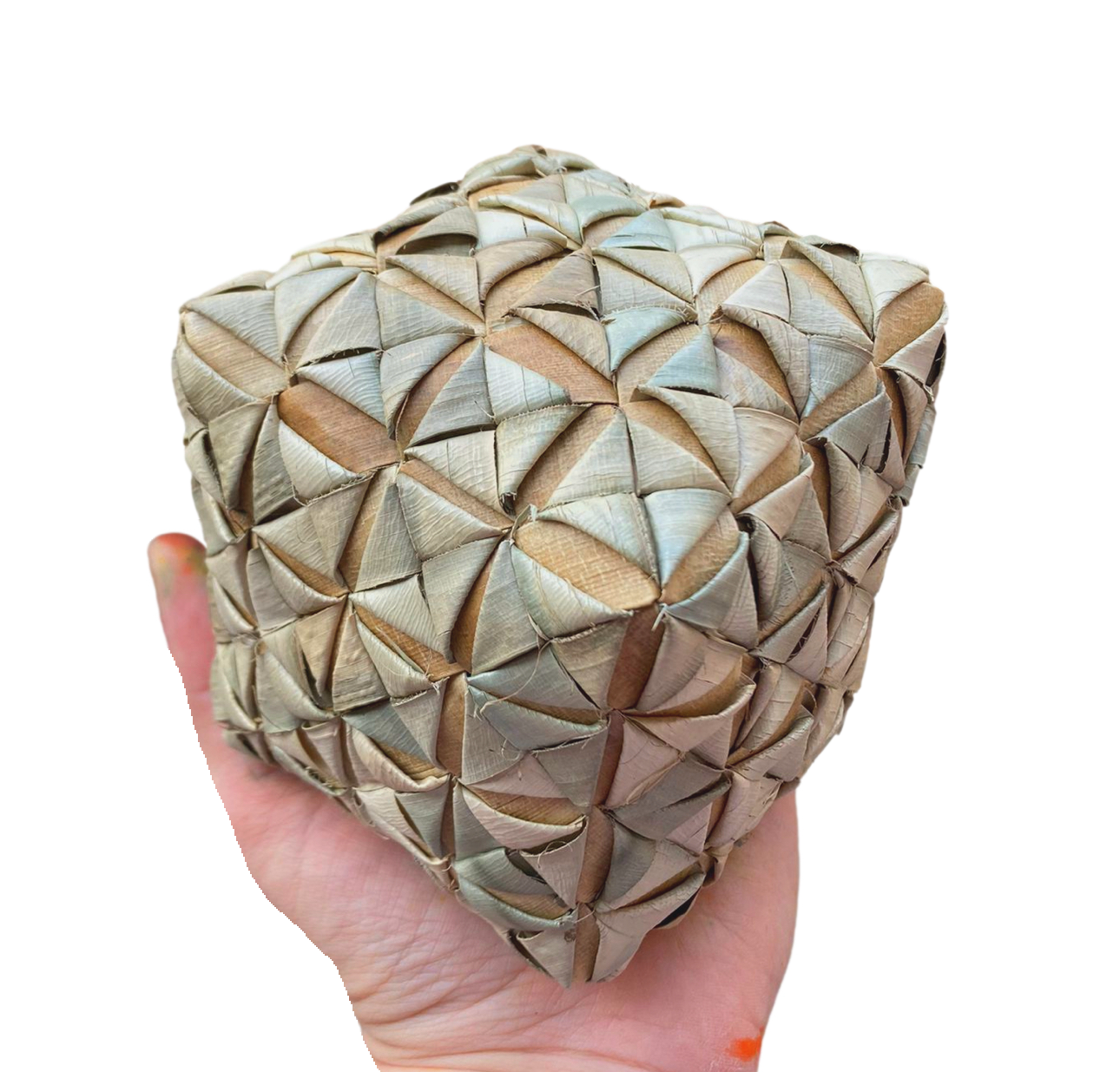 Bigger Fancy Dancy Palm Cube 4" by Feathered Addictions