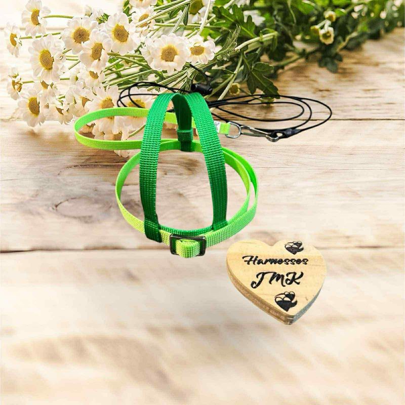 JMK Harness and Leash - Dark Green and Light Green Size Small: 190-425 grams Timneh Grey, Pionus, Galah, Yellow Nape Amazon