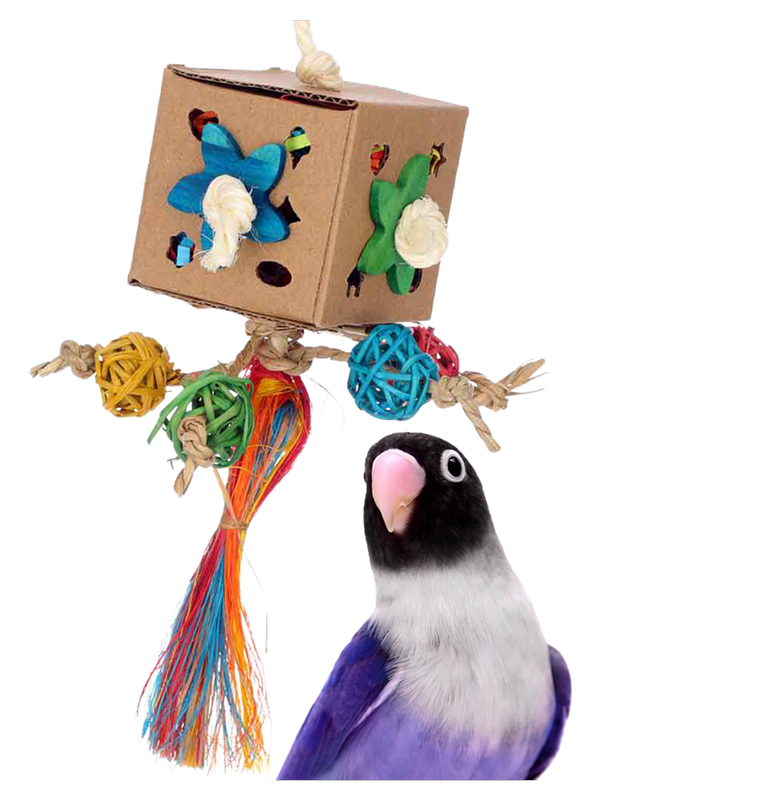 Crazy Cube by Super Bird Creations