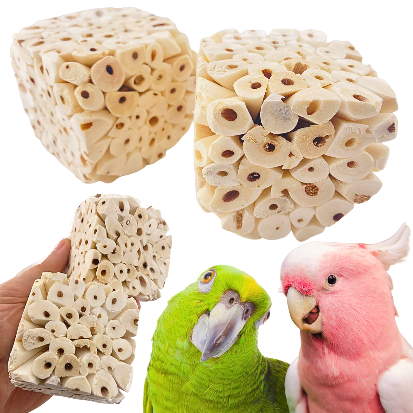 Big Sola Cubes 4 Pack by Bonka Bird Toys
