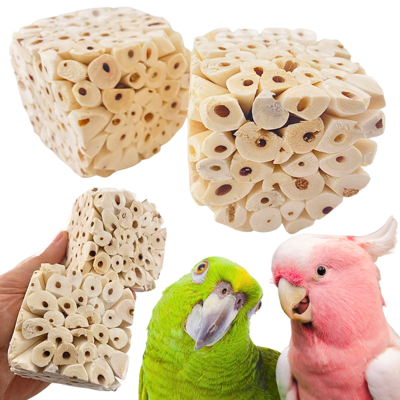 Big Sola Cubes 4 Pack by Bonka Bird Toys