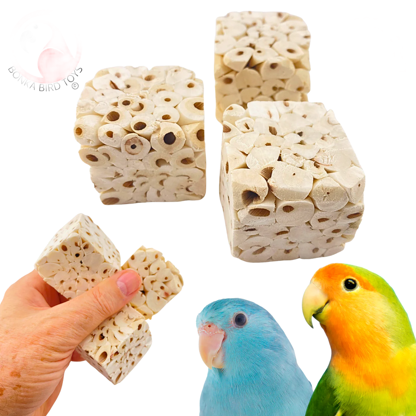 Small Sola Cubes 6 Pack by Bonka Bird Toys