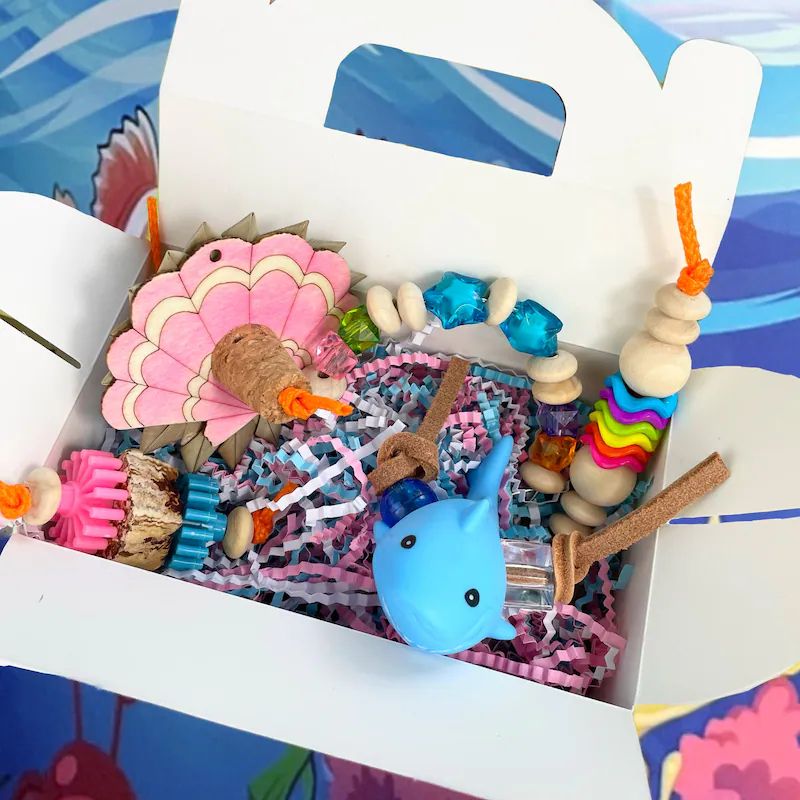 Fantastic Reef Gang Foot Toy Box by Pirate's Beak