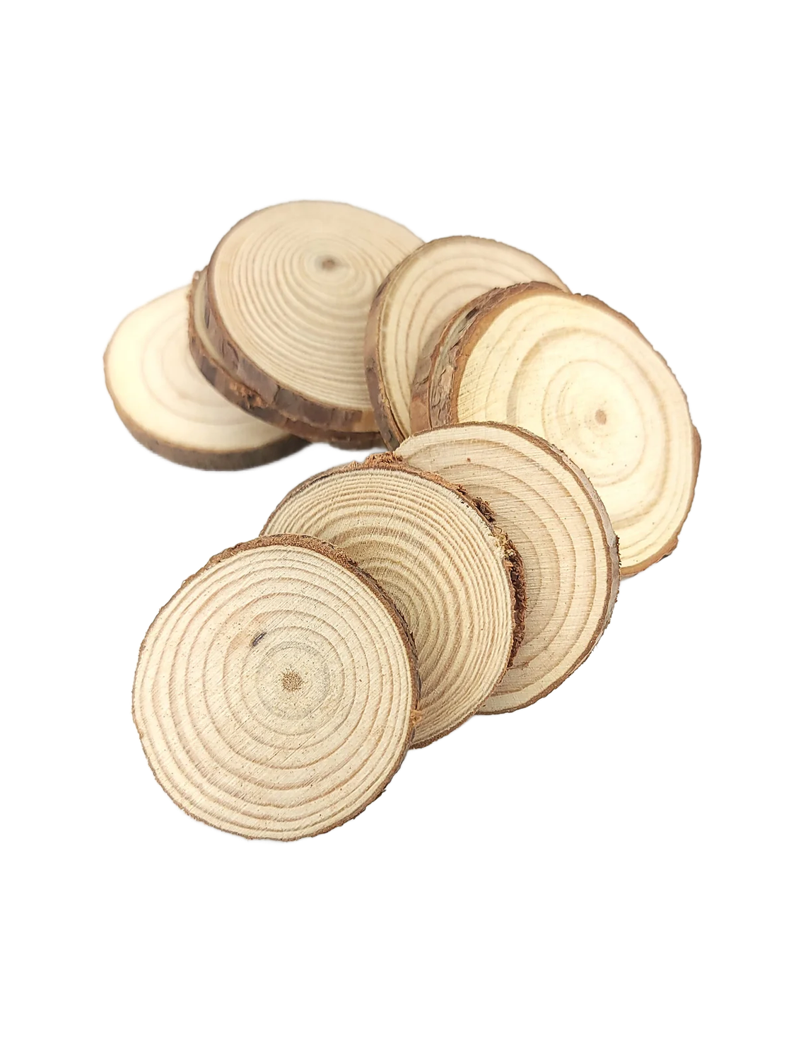1/4" Poplar Coins 10 Pack by Cheep Thrills Bird Toys