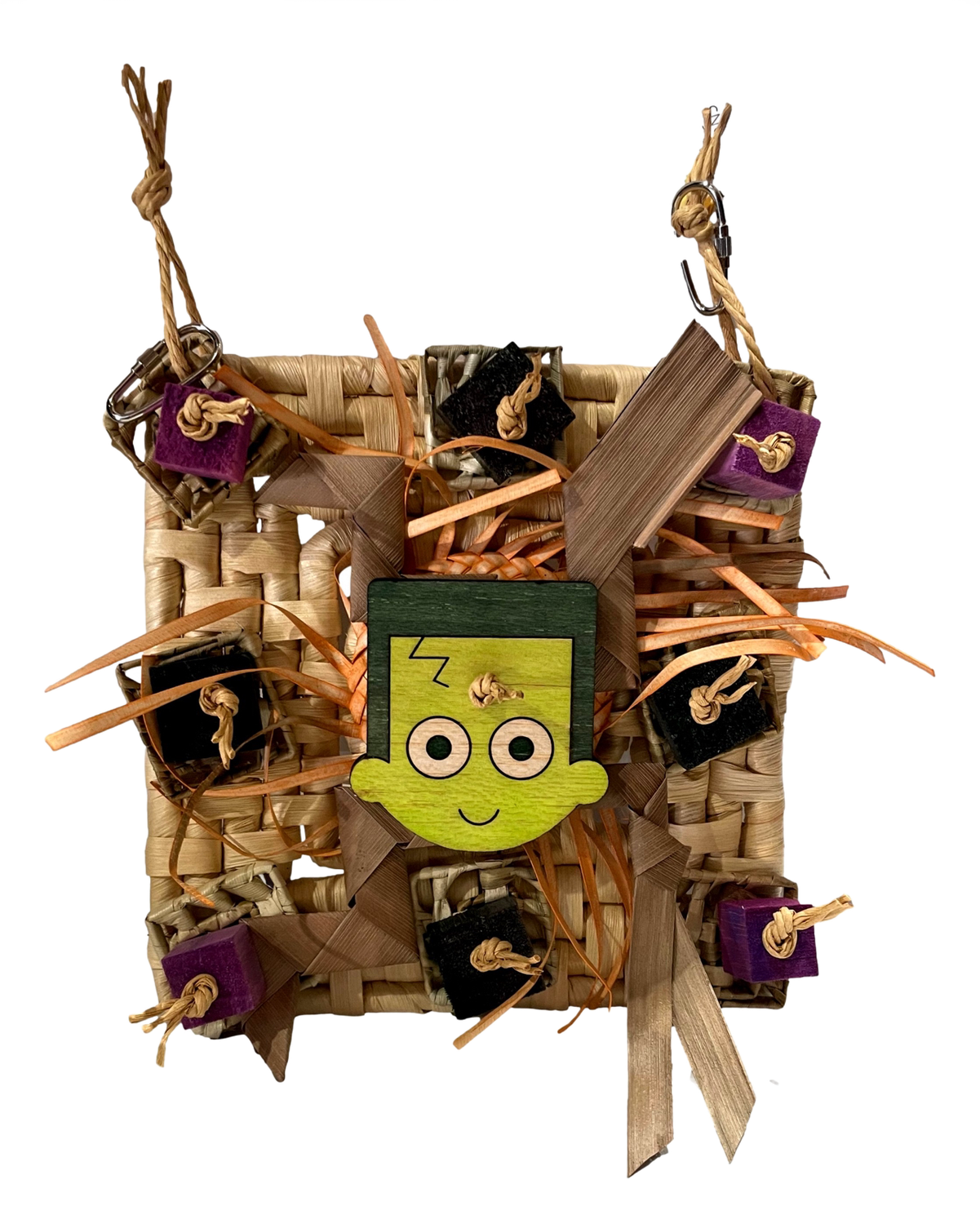 Frozen with Fear Frankenstein by Feathered Addictions