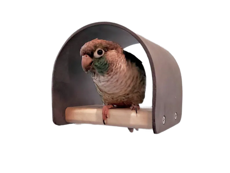 Birdie Bunker by Peter Piper Parrots