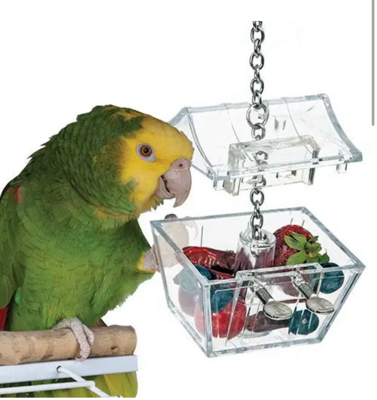 Parrot's Treasure Foraging Toy for Medium and some Large Birds by Caitec - Featherland Paradise