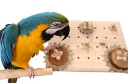 Advent Calendar Foraging Toy for Large Birds by Woodland Bird Toys