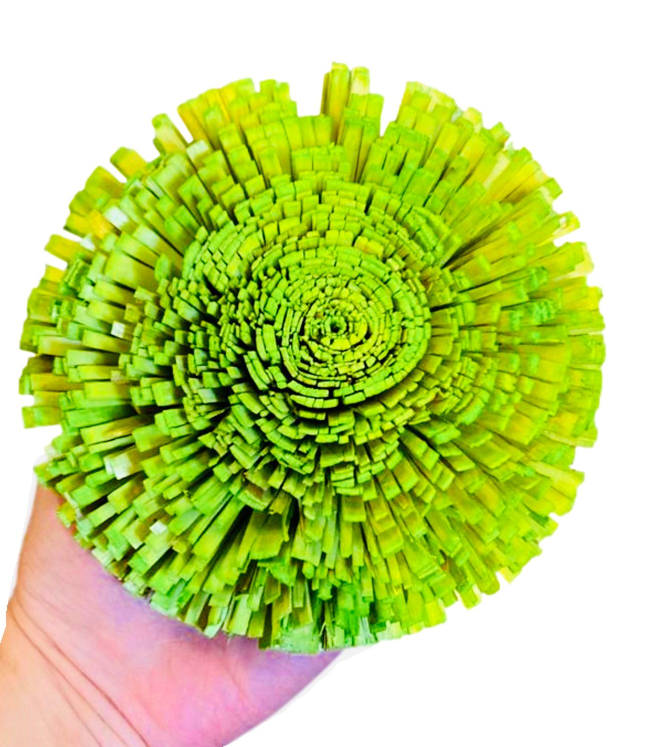 Colored Sola Bloomin' Onion - 4" by Feathered Addictions