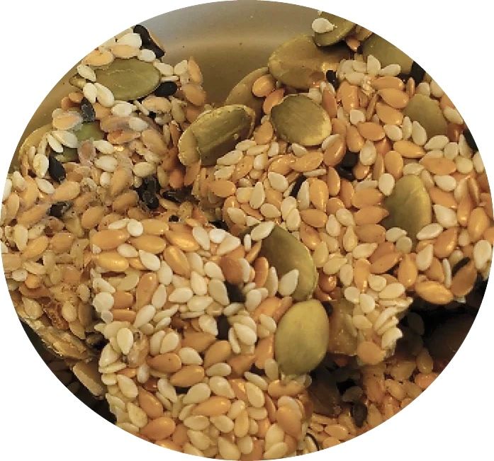 Organic Tesoro Treats - Original from TOPs Parrot Food