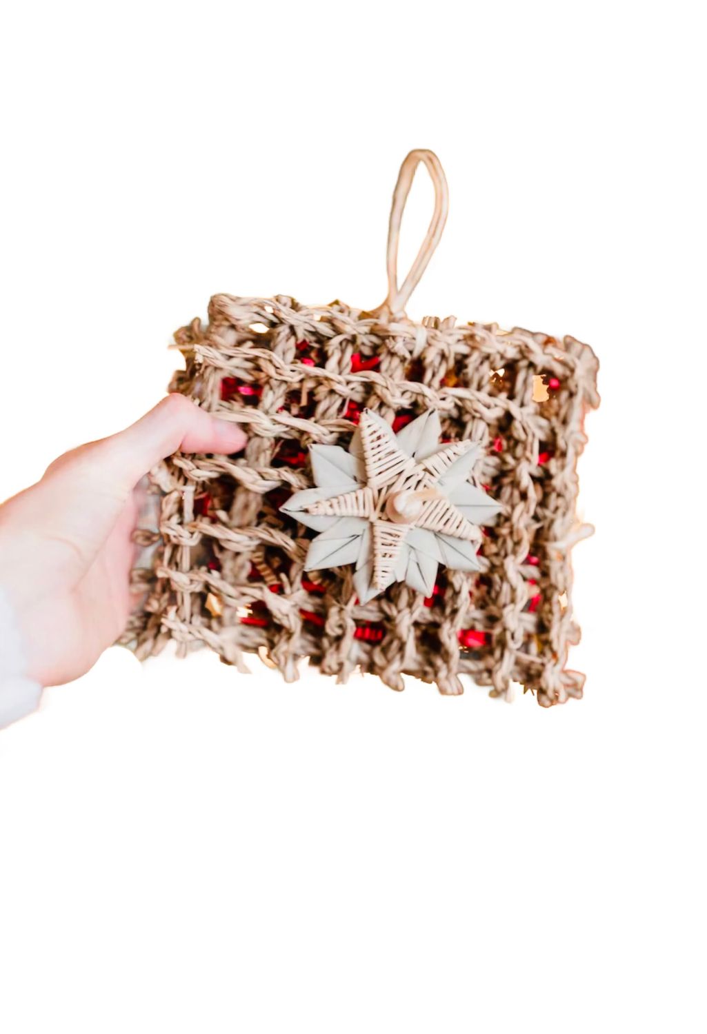 Winter Forager - by Little Dinos