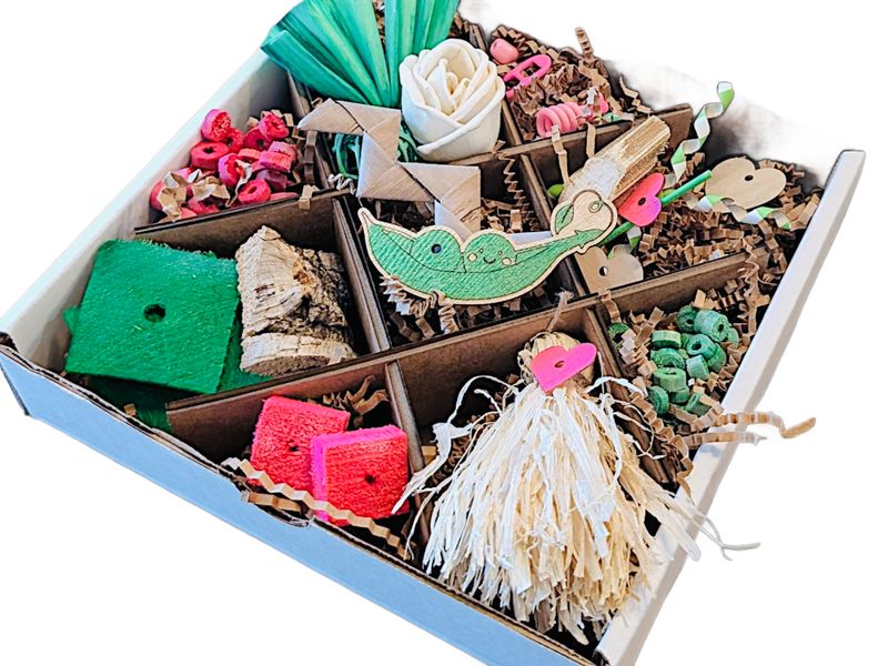 Peas in a Pod Discovery Box NEW Theme by Peter Piper Parrots -- Limited Edition