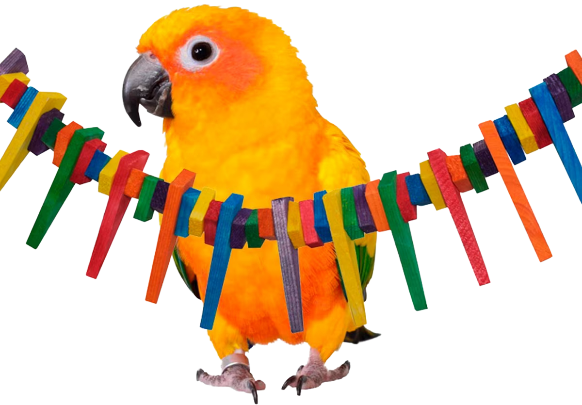 Mini Triangle Teaser by Super Bird Creations