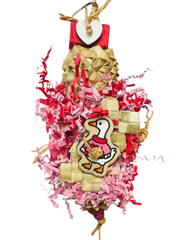 Not Just a Sweet-ter Duck, My Love for Small &amp; Medium Birds by Feathered Addictions