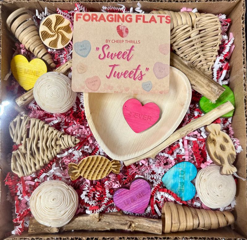 Sweet Treats Foraging Flat / Busy Box Limited Edition by Cheep Thrills Bird Toys
