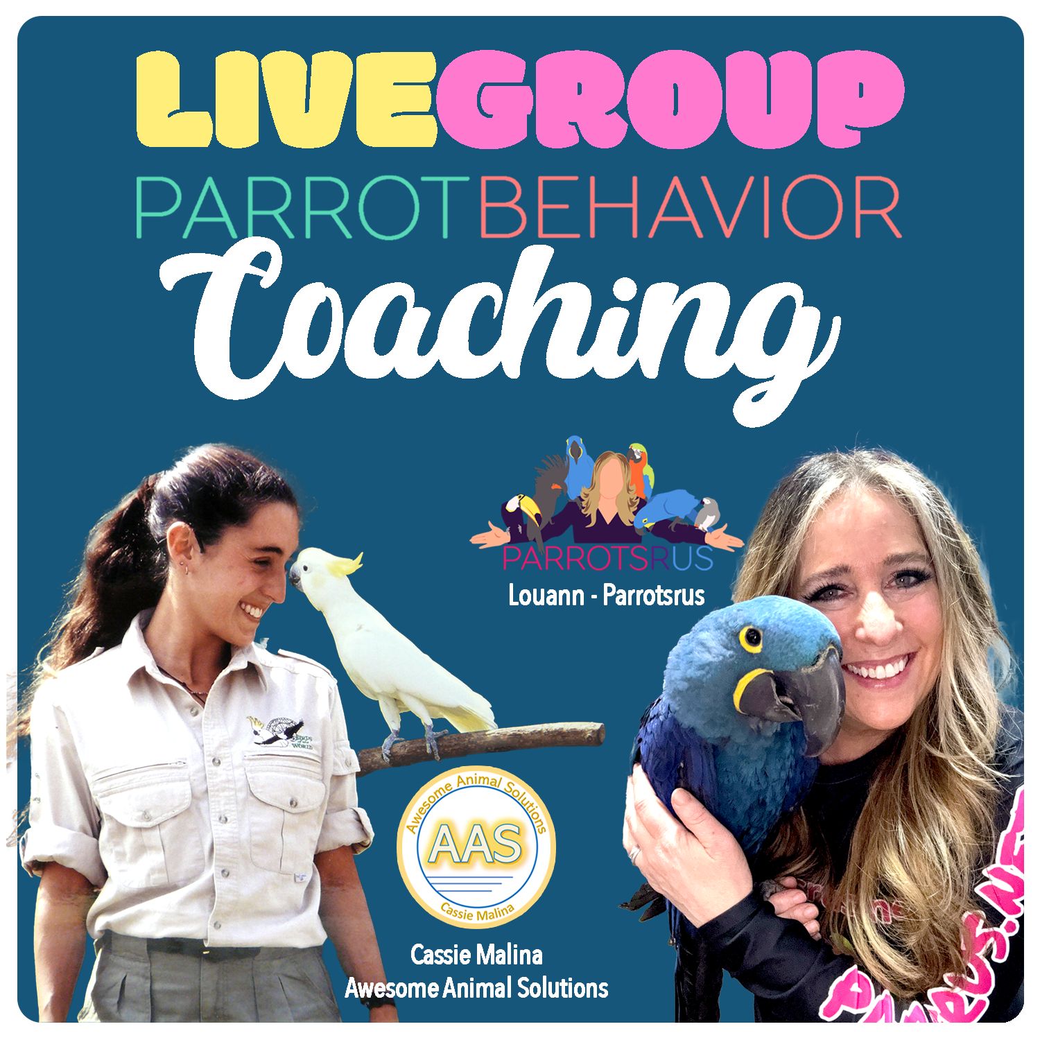 LIVE ​Group Parrot Behavior Coaching Session #1 - will be held Tuesday, March 24th 2026 7:30pm ET - 9:00pm ET