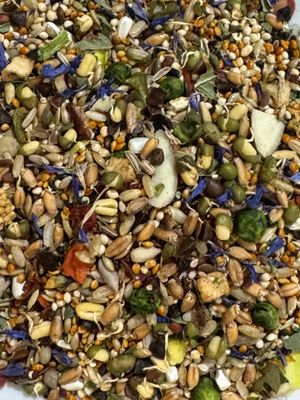 Delectable! plus Micrograin Just Sprouts Combo Dry Blend - 100% Natural Whole Foods for all Small & some Medium Birds especially Cockatiels, Budgies, Love Birds, Parakeets, Conures, Greys & Parrotlets Delectable! plus Micrograin Just Sprouts Combo Dry Blend - 100% Natural Whole Foods for all Small & some Medium Birds especially Cockatiels, Budgies, Love Birds, Parakeets, Conures, Greys & Parrotlets