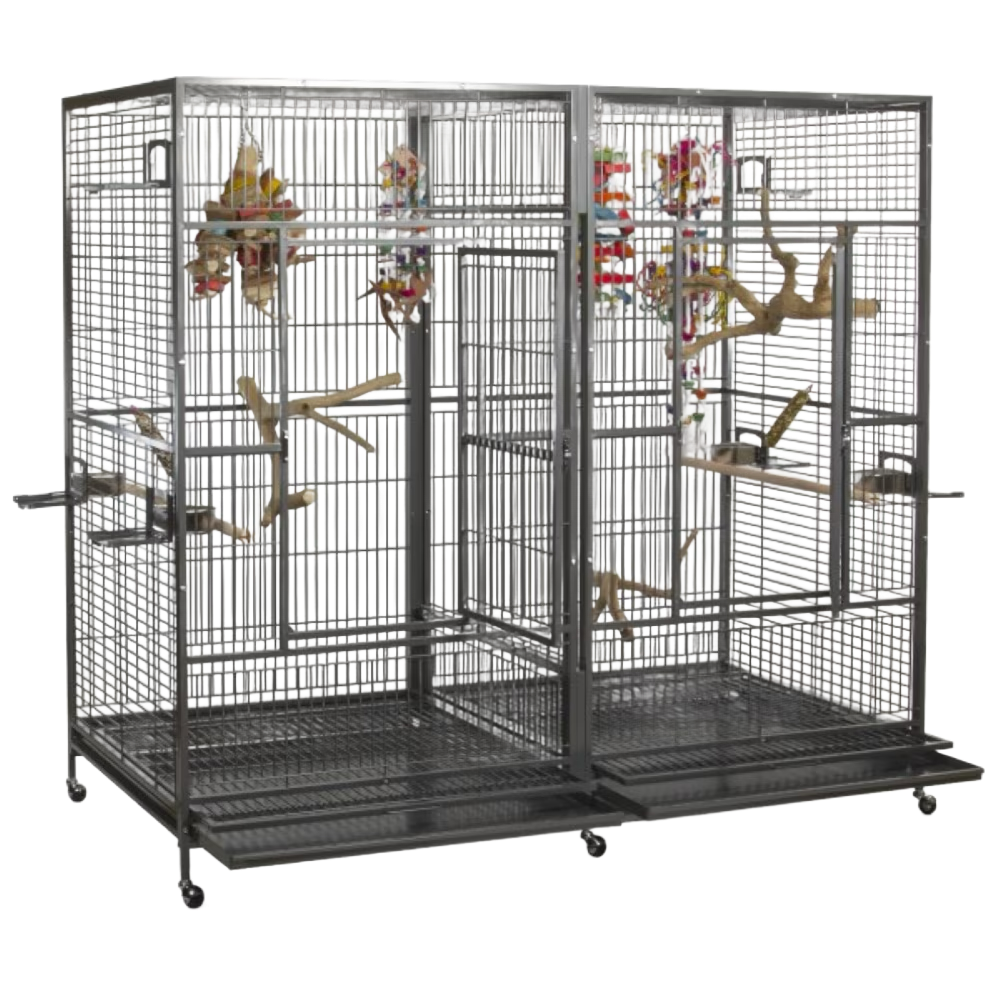 8040FL 80"x40"x74" Double Macaw Cage with Divider in Black or Platinum with 1" Bar Spacing by A&amp;E Cage Company