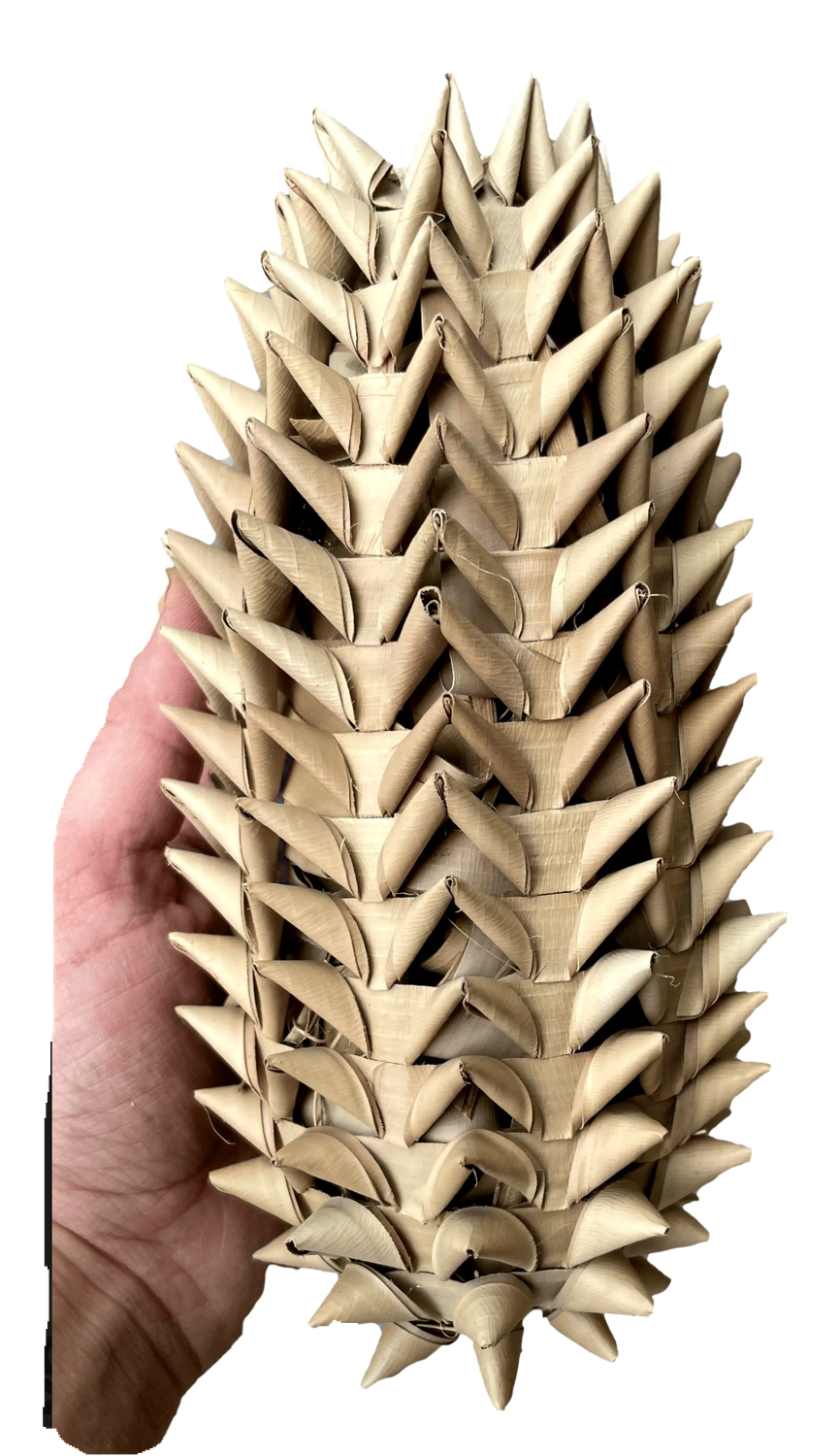 Light Palm Hedgehog 7" x 3" Natural by Feathered Addictions