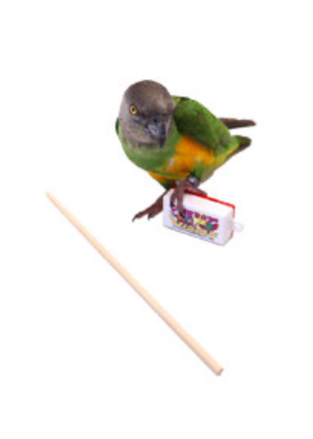 Parrot Wizard's Clicker &amp; Target Stick