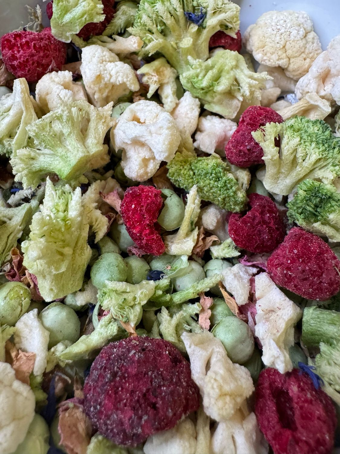 Freeze Dried Sweet Treat Topper 1 Cup - Limited Edition