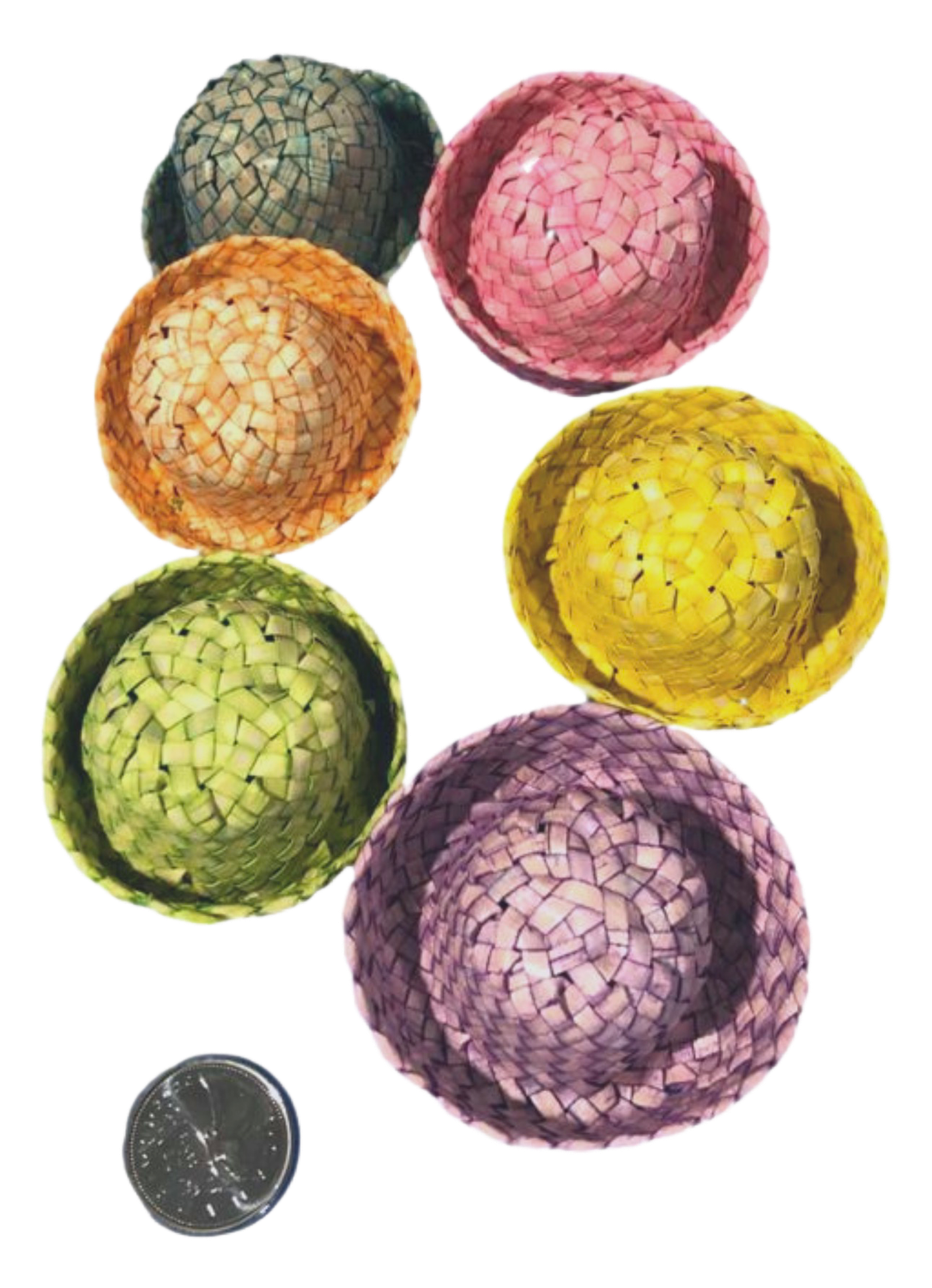 Colorful Palm Bowler Hat 4 Pack Larger Bird Size by Feathered Addictions