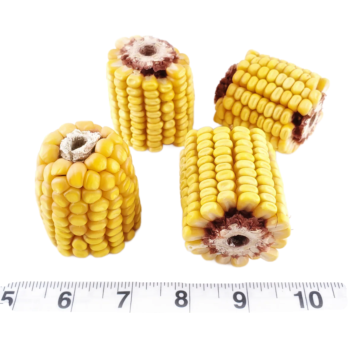 Drilled Corn Chunks - 5 Pack