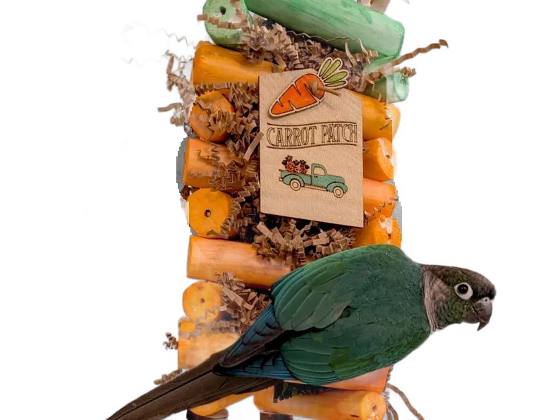 Carrot Sola Tower by Peter Piper Parrots