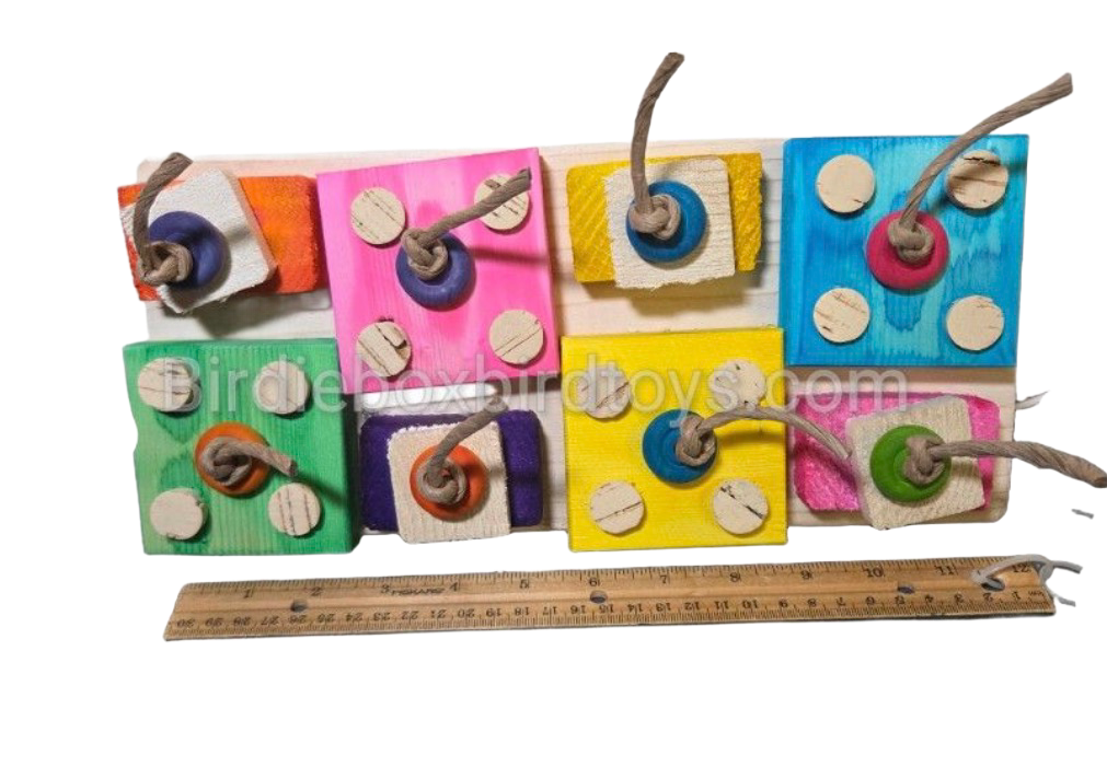 Bento Box Cage Mount Toy for Medium and Large Size Birds by Birdie Box Bird Toys