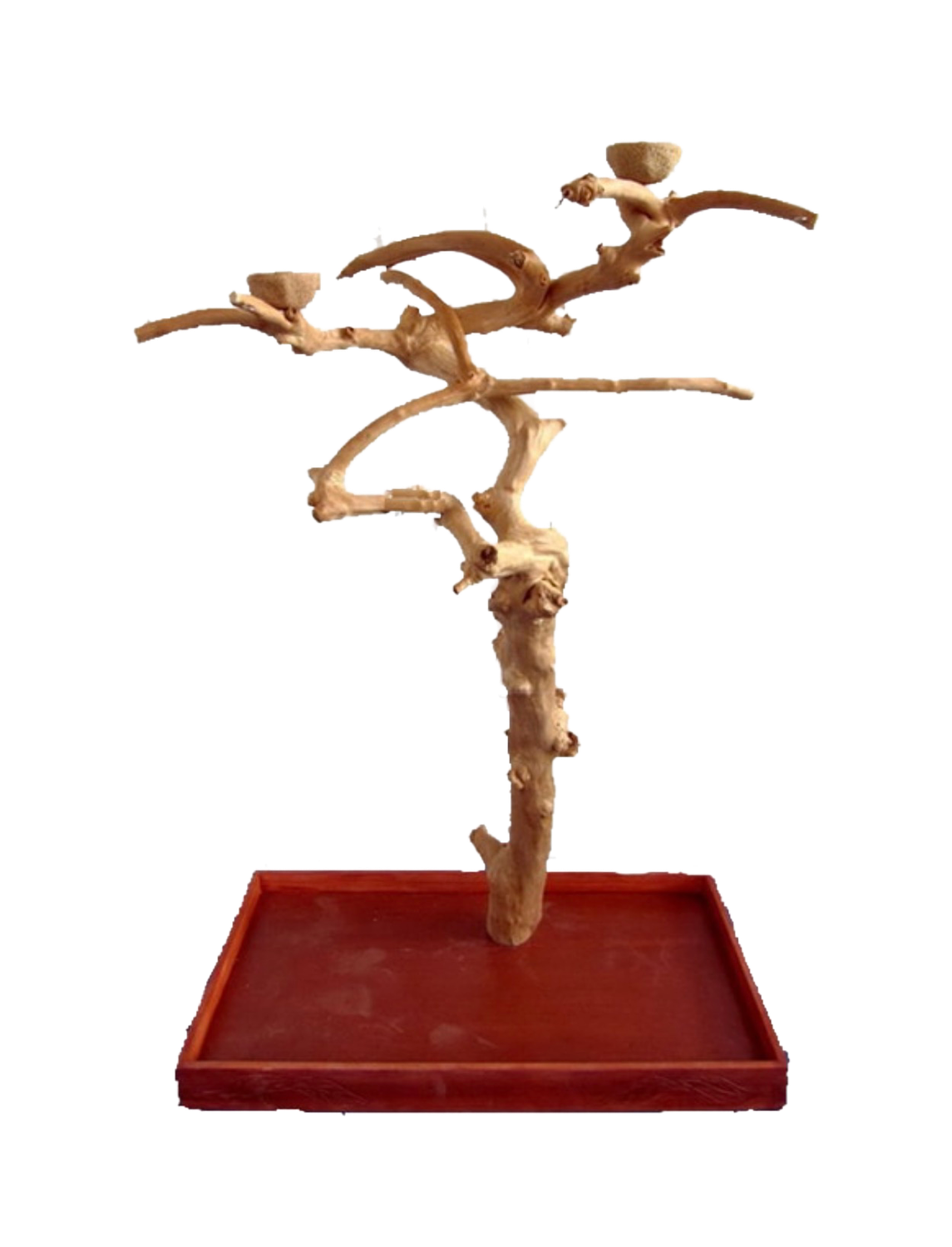 AE250M Java Tree with dimensions of 38"x 24"x 61"with Shipping