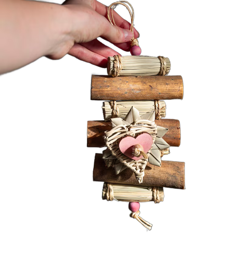 Heart Chew by Little Dinos Natural Bird Toys