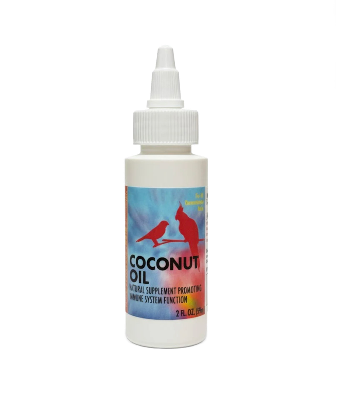 Coconut Oil 2 oz by Morning Bird