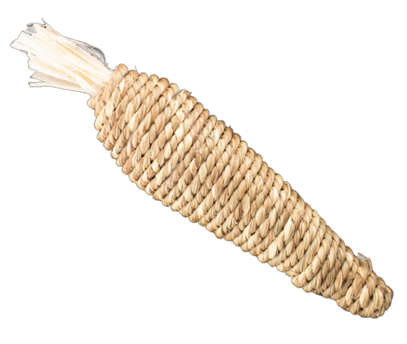 Rope Carrot Foot Toy