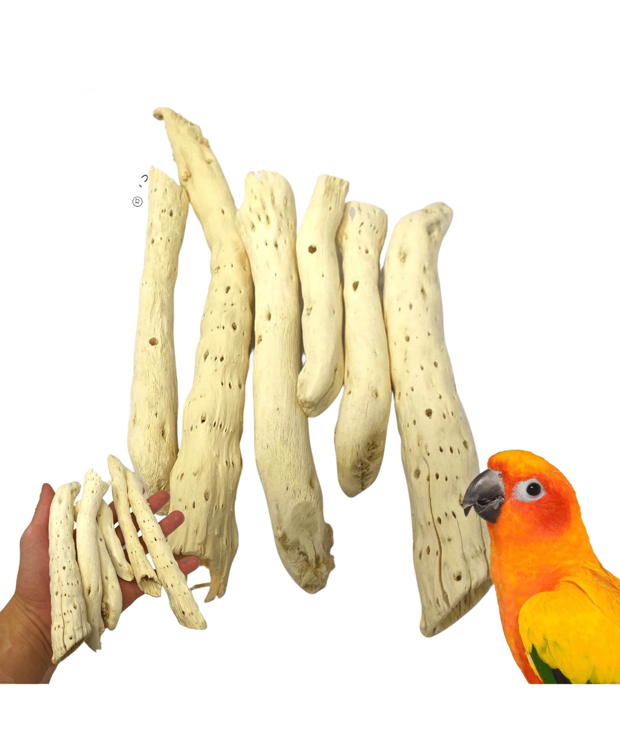 Natural Gobi Tail Foot Talon Toy or Bird Toy Part Pack of 6 by Bonka Bird Toys